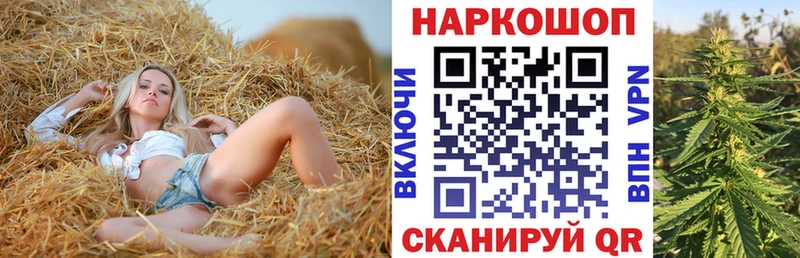 Купить наркотик Терек Канабис  Кокаин  НБОМе  ГАШИШ  Alpha-PVP 